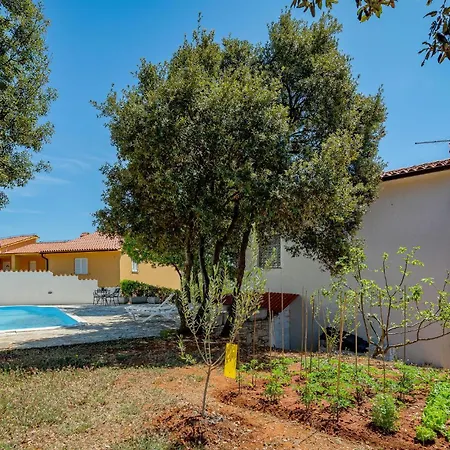 Cozy In With Outdoor Swimming Pool Holiday home Pavicini