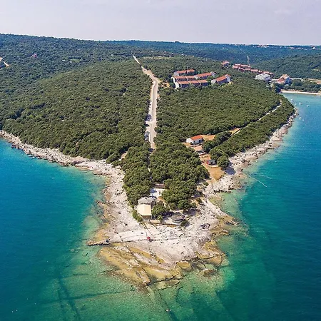 Front In Pavicini